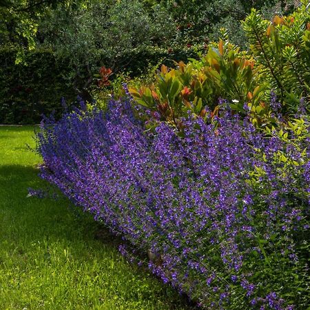 Relais Corte Rodeschi Camaiore Dış mekan fotoğraf