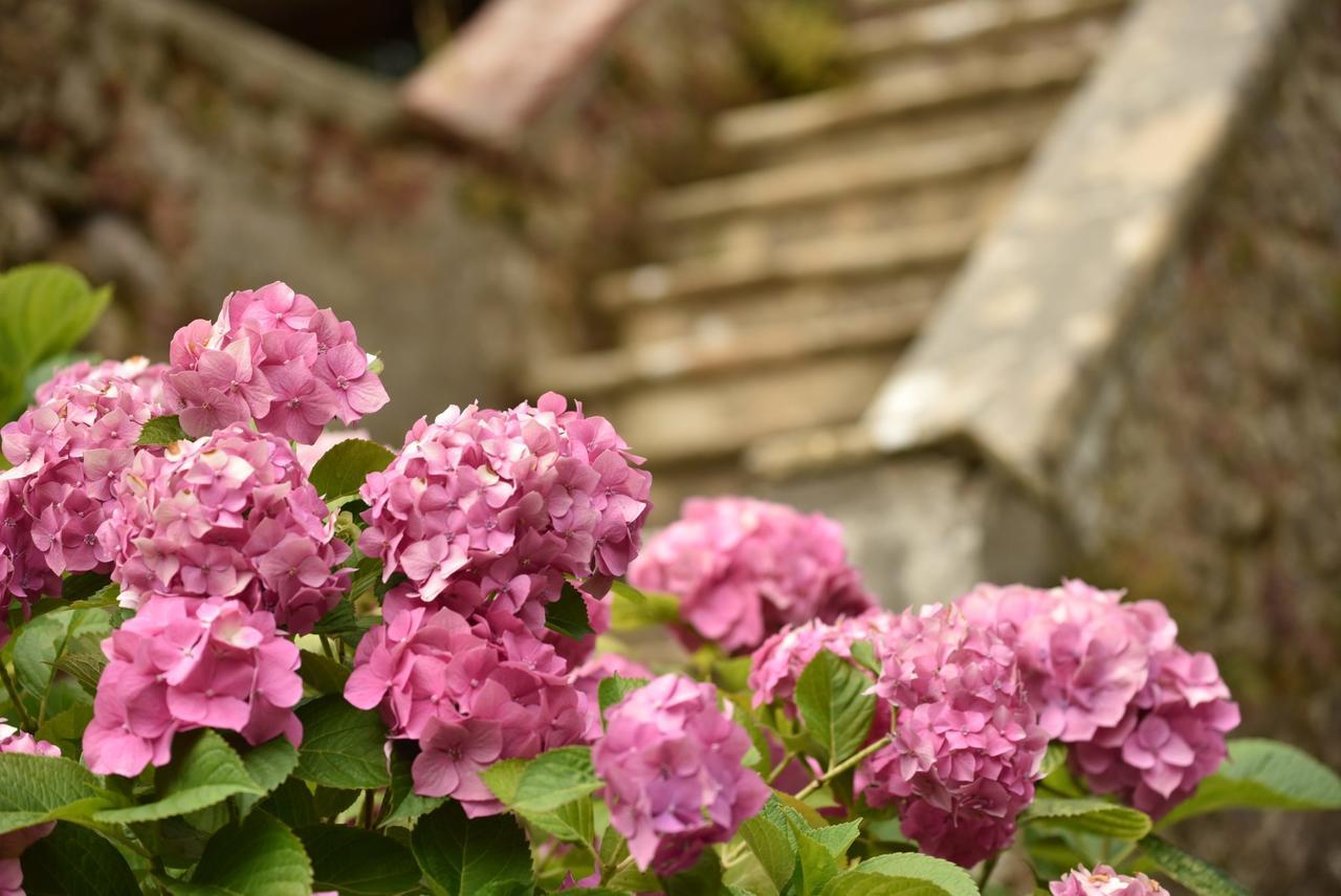 Relais Corte Rodeschi Camaiore Dış mekan fotoğraf