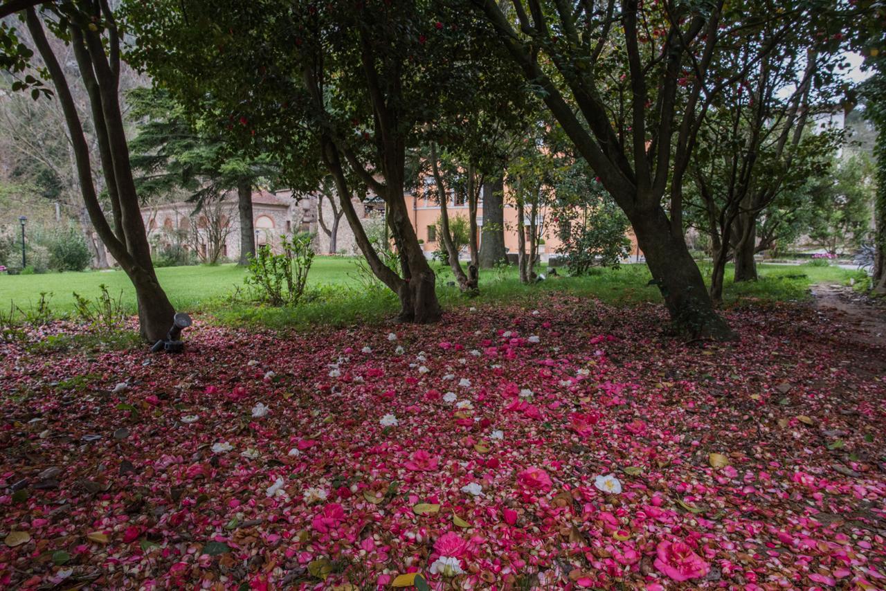 Relais Corte Rodeschi Camaiore Dış mekan fotoğraf