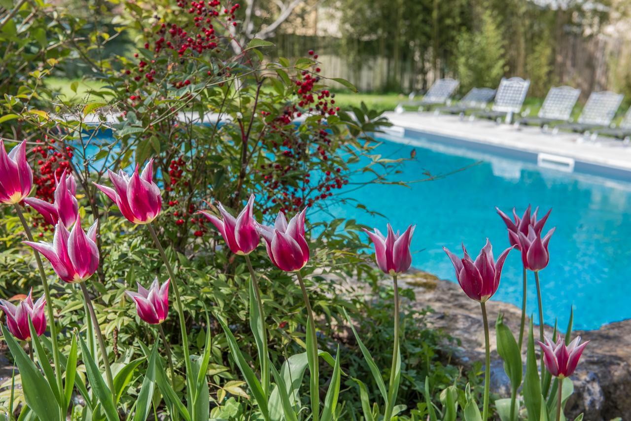 Relais Corte Rodeschi Camaiore Dış mekan fotoğraf