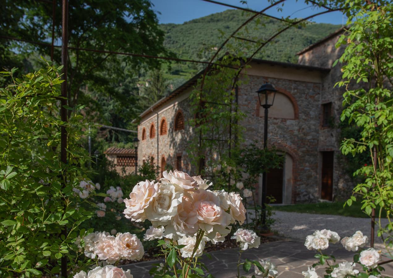 Relais Corte Rodeschi Camaiore Dış mekan fotoğraf